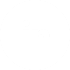 Icona LinkedIn