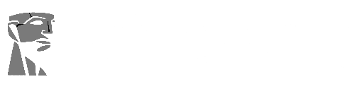 Logo Kingston Technology